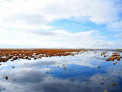 -花湖生态旅游区