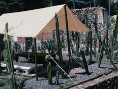 -MOJ coffee(瓯海泽雅水碓坑店)