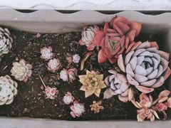 -唐咖精品咖啡(大理古城手冲店)