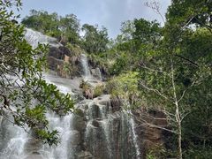 -海南热带雨林国家公园吊罗山景区