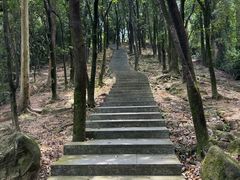 -火炉山森林公园