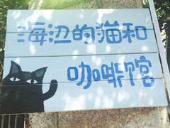 -海边的猫和咖啡馆