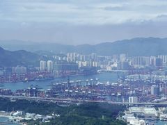 -天龙轩(香港丽思卡尔顿酒店)