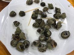 -食海部落