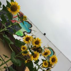 -梦田都市农场(银泰城店)