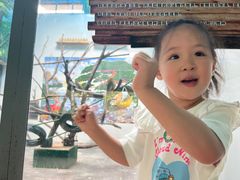 -西安秦岭野生动物园