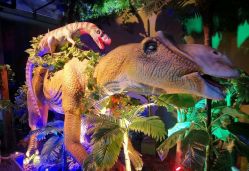 -恐龙探索乐园(磁器口店)