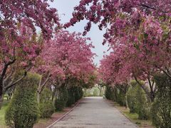 -石家庄市植物园