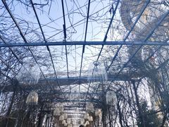 -武汉紫薇都市田园