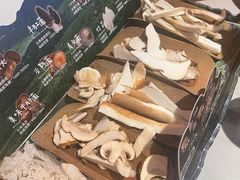 -芸山季·云南山珍菌火锅(人民广场来福士店)