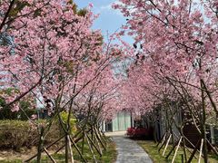 -福建鲤鱼洲酒店