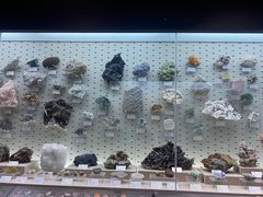 -浙江自然博物院(杭州馆)