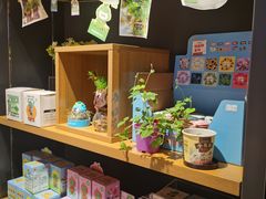 -九木杂物社(恒隆广场店)