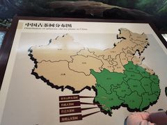 -中国茶叶博物馆(双峰馆区)