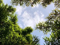 -鹿野苑石刻艺术博物馆