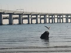 -金沙滩度假村
