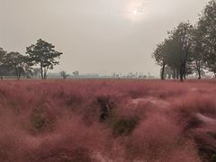 -汉长安城未央宫国家考古遗址公园