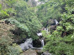 -大围山国家森林公园