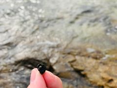 -清水湾旅游度假区