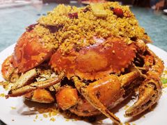 -花城苑广府菜(侨鑫店)
