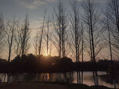 -三垟湿地