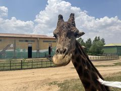 -鄂尔多斯野生动物园