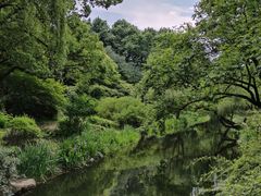 -上海共青森林公园