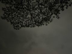 -深圳湾公园(南山区)