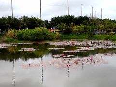 -白沙门生态公园