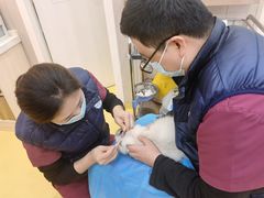 -芭比堂动物医院·犬猫全科·异宠专科(雁塔分院)