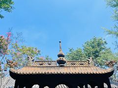 -白云观