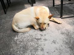 -Cactus墨西哥仙人掌餐厅