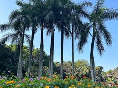 -荔枝公园(福田区)