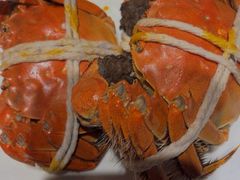 -杨氏青龙虾·吃蟹季(金盛路总店)