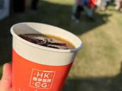 -陆家嘴中心绿地