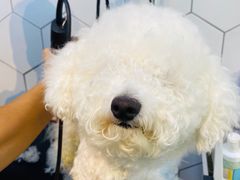 -萌兽医馆·眼科·异宠专科(三里屯店)