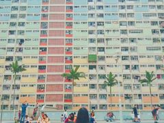 -彩虹村