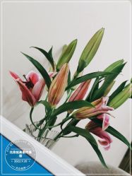 -北京炫美医疗美容