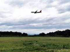 -空港花田景区