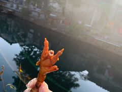 -鸡脚旮旯平江路店
