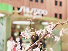 -王府井步行街