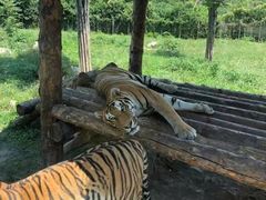 -西安秦岭野生动物园