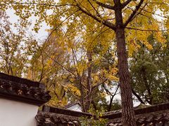 -苏州上方山国家森林公园