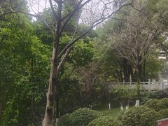 -龙头寺公园