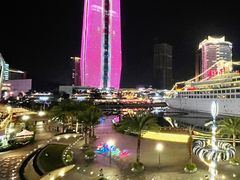 -润园四季椰子鸡火锅(海上世界店)
