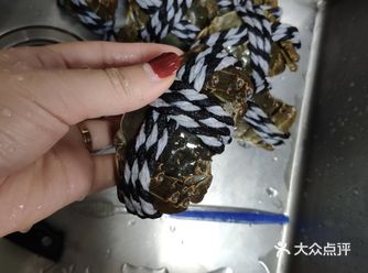 湖田十月清霜堕，晚稻初香蟹如虎