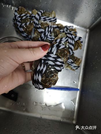 湖田十月清霜堕，晚稻初香蟹如虎