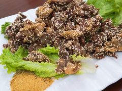 -兰州老马家族食府(康庄总店)