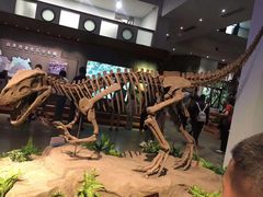 -自贡恐龙博物馆