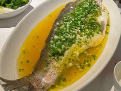 葱油蒸白水鱼-玫瑰厅上海菜(兴国路店)